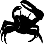 Crab 5