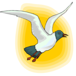 Seagull 16