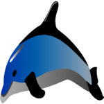 Dolphin 19