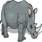 Rhino 12