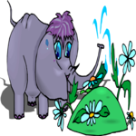 Elephant Watering Flowers