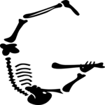 Skeleton G Clip Art
