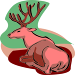 Deer 16