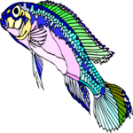 Dwarf Cichlid 2 Clip Art