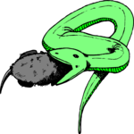 Snake - Eating Mouse Clip Art