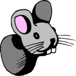 Mouse 09