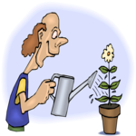 Man Watering Flower