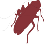 Crawling Insect 17 Clip Art