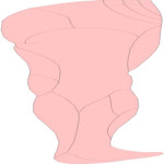 Leg - Posterior View