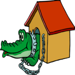Alligator in Doghouse