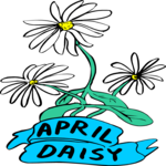 04 April - Daisy