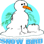 Snow Bird 5
