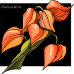Cacao Tree