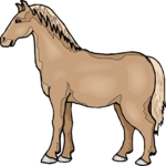 Horse 55