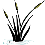 Cattails Clip Art