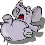 Elephant on Back