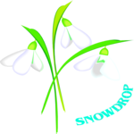 Snowdrop 4 Clip Art