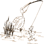 Pelican Fishing 4