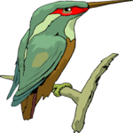 Kingfisher 02 Clip Art