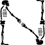 Skeleton N