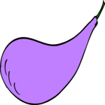 Eggplant 05