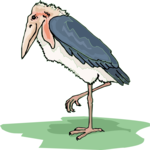 Marabou Stork 2