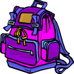 Backpack 12