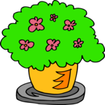 Flower Pot 1