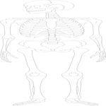 Skeleton 03 Clip Art