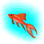 Goldfish 16 Clip Art