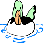 Duck 14