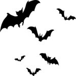 Bats Flying
