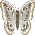 Moth 30 Clip Art