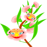 Flowers with Faces 2