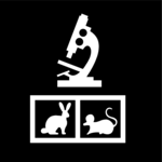 Experimental Surgery