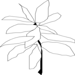Plant 008 Clip Art
