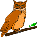 Owl 04