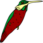 Hummingbird 07