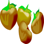 Nuts 3 Clip Art
