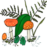 Mushrooms 14 Clip Art