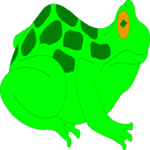 Frog 07