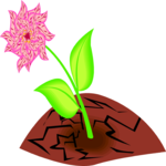 Dahlia 1 Clip Art