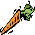 Carrot 24