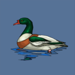 Duck 32 Clip Art