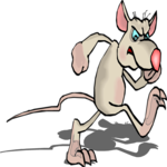 Rat - Angry 1