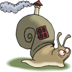 Snail House 3