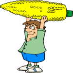 Gardener & Large Corn