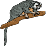 Monkey - Squirrel 1 Clip Art