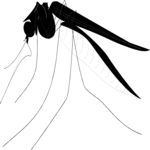 Mosquito 2 Clip Art