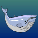 Whale - Humpback 4 Clip Art